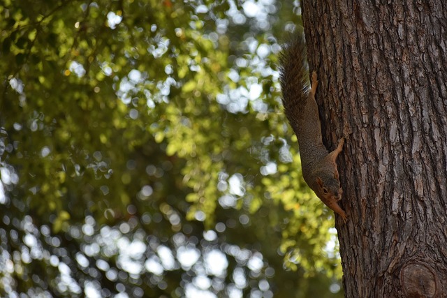 他球队的 他球队的