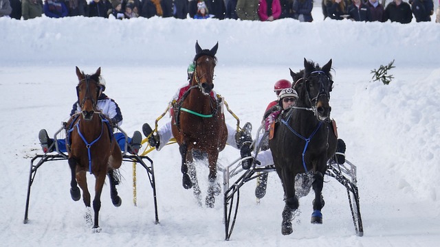 批游客前来 批游客前来