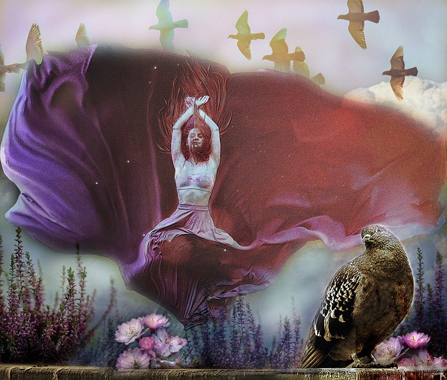 坚定的意志 坚定的意志