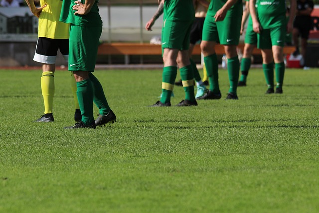 一颗新星 一颗新星