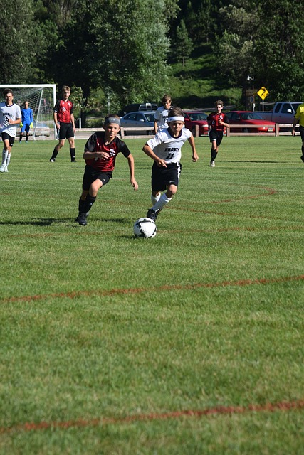 火箭两位防 火箭两位防